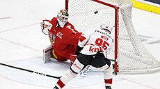 Branká Karel Vejmelka inkasuje v zápase proti výcarsku.