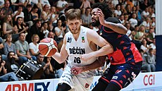 Jan terba se snaí do koe proniknout pes Jordana Browna.