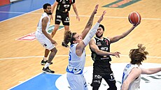 Stephen Brown se snaí zakonit nájezd pes Noaha Cartera.