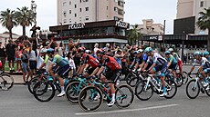 Peloton v první etap� italského Gira v Albánii
