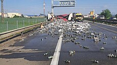 Nehoda na dálnici D2 (7. kv�tna 2025)