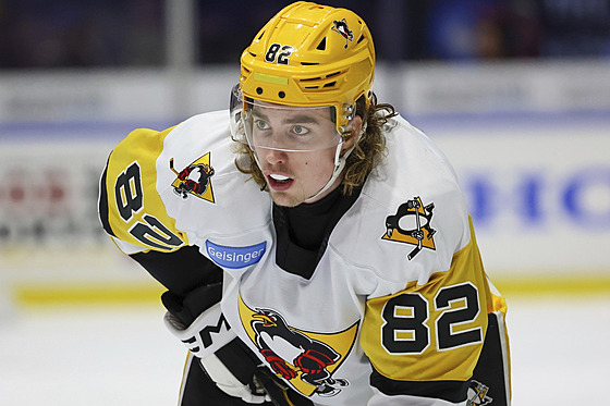 eský obránce Filip Král na farm Pittsburghu v AHL v týmu...