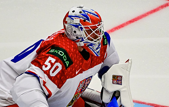 Branká� Karel Vejmelka nastoupil do utkání s novým designem masky s vyobrazeným...