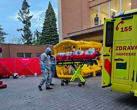 Amerian nyní leí v praské nemocnici na Bulovce a je ve stabilizovaném stavu....