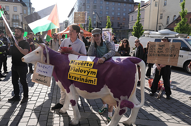 Vřava na mítinku SPOLU. Propalestinské aktivisty umravňovala i Pazderková