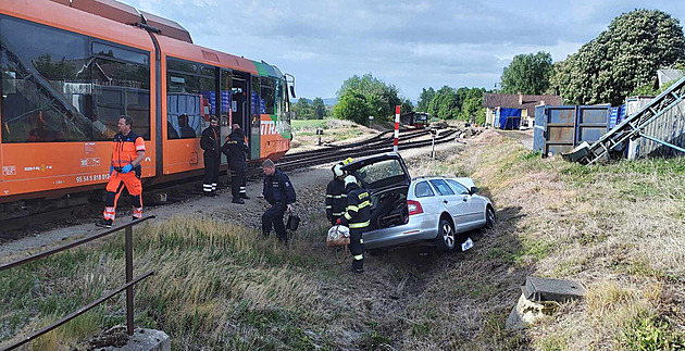 idika vjela na nechránný pejezd v dob, kdy zrovna pijídl vlak.