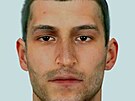 Policie na zklad popisu pokozen sestavila identikit tonka. (4. dubna...