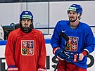 Dva zranní etí hokejisté Jakub Lauko (vlevo) a Tomá Kundrátek se zúastnili...