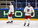 David Pastrák (vpravo) a Roman ervenka spolu opt trénovali v jedné formaci.