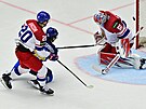 Karel Vejmelka inkasuje gól proti Kazachstánu.