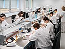 Budouc zubai se pod odbornm dohledem a v novch laboratoch Fakultn...