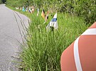 P�ipomínka �ampionátu poblí� vozovky.