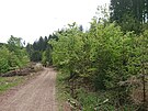Dlnice za tunelem Maletn bude ve smru na Mohelnici pokraovat mostem nad...