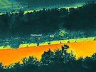 Pátrání po Fifince dronem s termokamerou.