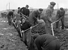 Dobrovolní brigádníci prací oslavili V. sjezd Bulharské komunistické strany.  