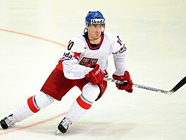 Roman ervenka debutoval na mistrovství svta v roce 2009.