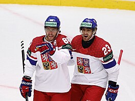 David Pastr�ák (vlevo) se raduje z gólu proti N�mecku, p�ijí�dí k n�mu Luká�...