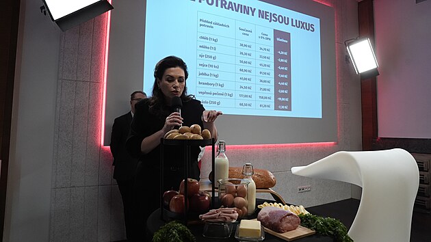 Jana Bobokov na tiskov konferenci k pedstaven volebnho programu hnut Stailo! pro podzimn parlamentn volby. (13. kvtna 2025)