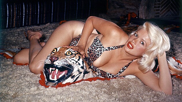 Hereka Jayne Mansfieldov v leopardch bikinch nevhala vyrazit na nkup i na prochzku po Hollywoodu a rozdvat autogramy.