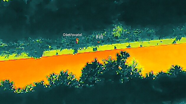 Ptrn po Fifince dronem s termokamerou.
