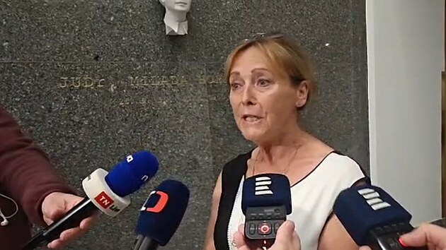 Policist z Nrodn centrly proti organizovanmu zloinu zasahuj v budov Krajskho adu Plzeskho kraje ve kroupov ulici v Plzni. Na snmku mluv krajskho adu Helena Frintov. (13. kvtna 2025)