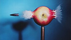 Harold Eugene Edgerton: Prstel jablka (1964)
