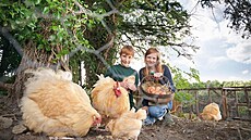 Domácí vejce nebudou mít hezky barevné �loutky, pokud slepicím nedop�ejete dost...