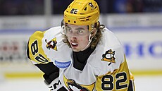eský obránce Filip Král na farm Pittsburghu v AHL v týmu...