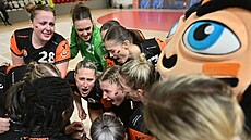 Mostecké házenká�ky ve finále proti Slavii.
