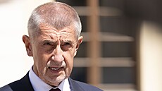 Andrej Babi, pedseda hnutí ANO.