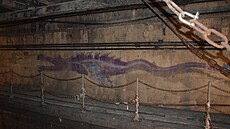 Podivných tvor�, uvyklých �ivotu ve tm� kanál�, uvidíte b�hem komentované...