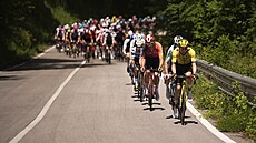 Cyklisté bhem 8. etapy Gira