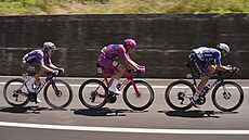 Cyklisté bhem 8. etapy Gira