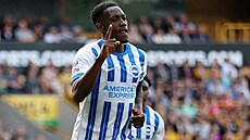 Brightonský úto�ník Danny Welbeck oslavuje svoji trefu.