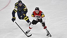 Rakuan Dominic Zwerger má k puku blí ne Marcus Pettersson ze védska.