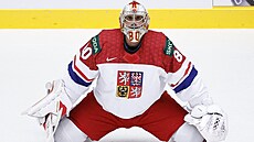 Branká� Daniel Vlada� se rozcvi�uje p�ed zápasem proti Norsku.