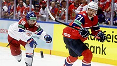 eský útoník Filip Zadina a Eskild Bakke Olsen z Norska bojují o puk.