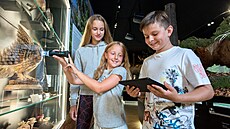 Za�ijte muzejní noc v Jiho�eském Muzeu