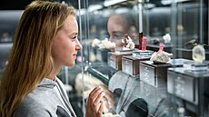 Za�ijte muzejní noc v Jiho�eském Muzeu