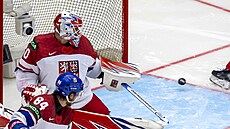 Branká� Karel Vejmelka inkasuje v utkání se �výcarskem gól od úto�níka Sandra...