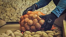 Doplování a kontrola automat probíhá kadý den. Podle poteby i vícekrát.