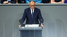 Nmecký kanclé Friedrich Merz (14. kvtna 2025)