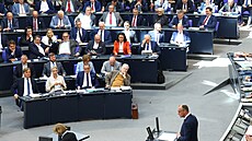 Nmecký kanclé Friedrich Merz (14. kvtna 2025)