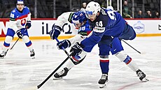 Slovák Andrej Golian brání v akci francouzskému útoníkovi Timu Bozonovi.
