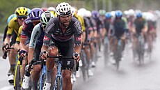 Jimmy Janssens vede peloton Gira v propr�ené �esté etap� do Neapole.