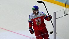 David Pastrák slaví gól proti Dánsku.