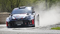 Filip Mare jede umavskou rallye.
