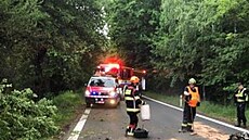 K váné dopravní nehod v Netvoicích na Beneovsku vyjely vechny sloky...