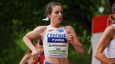 Vít Hlavá