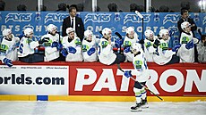 Hokejisté Slovinska se radují z gólu proti Francii